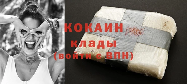 крисы Мегион