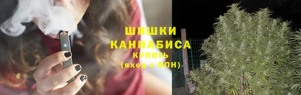крисы Мегион