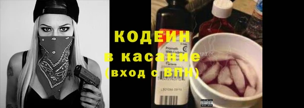 крисы Мегион