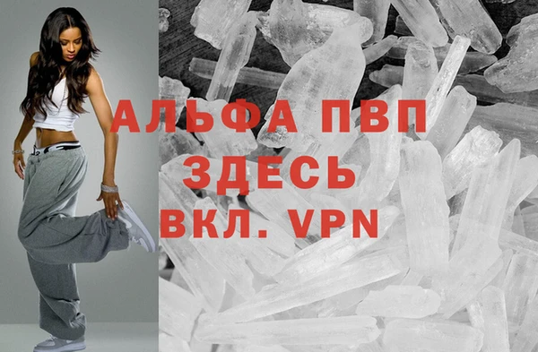 крисы Мегион