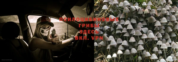 шишки Медногорск