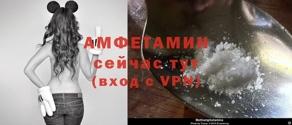 крисы Мегион