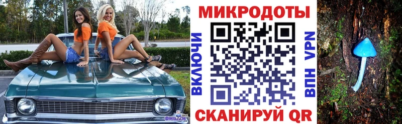 сколько стоит Хадыженск Псилоцибиновые грибы прущие грибы